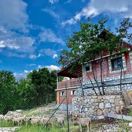 Mountain Village House 采蒂涅 外观 照片