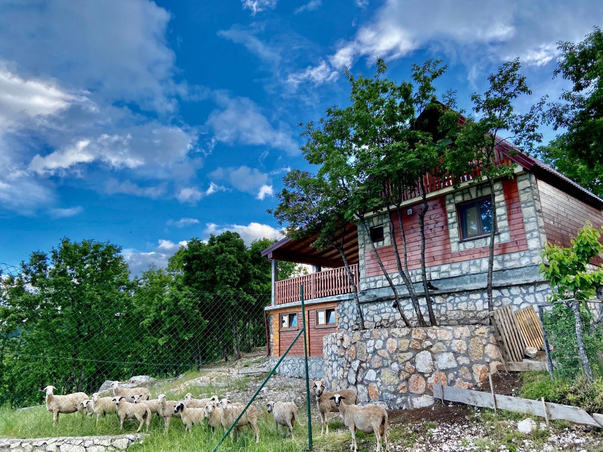 Mountain Village House 采蒂涅 外观 照片