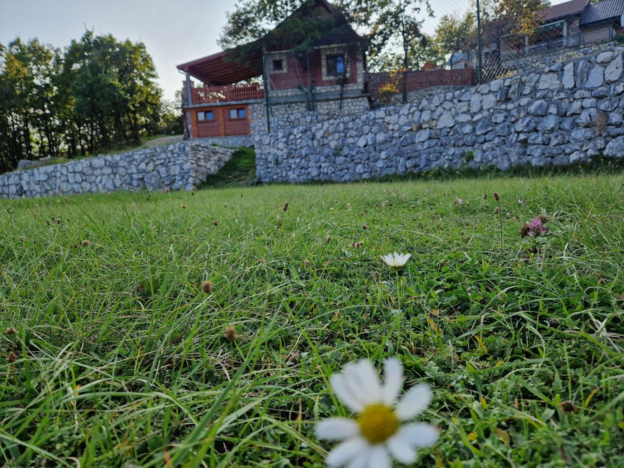 Mountain Village House 采蒂涅 外观 照片